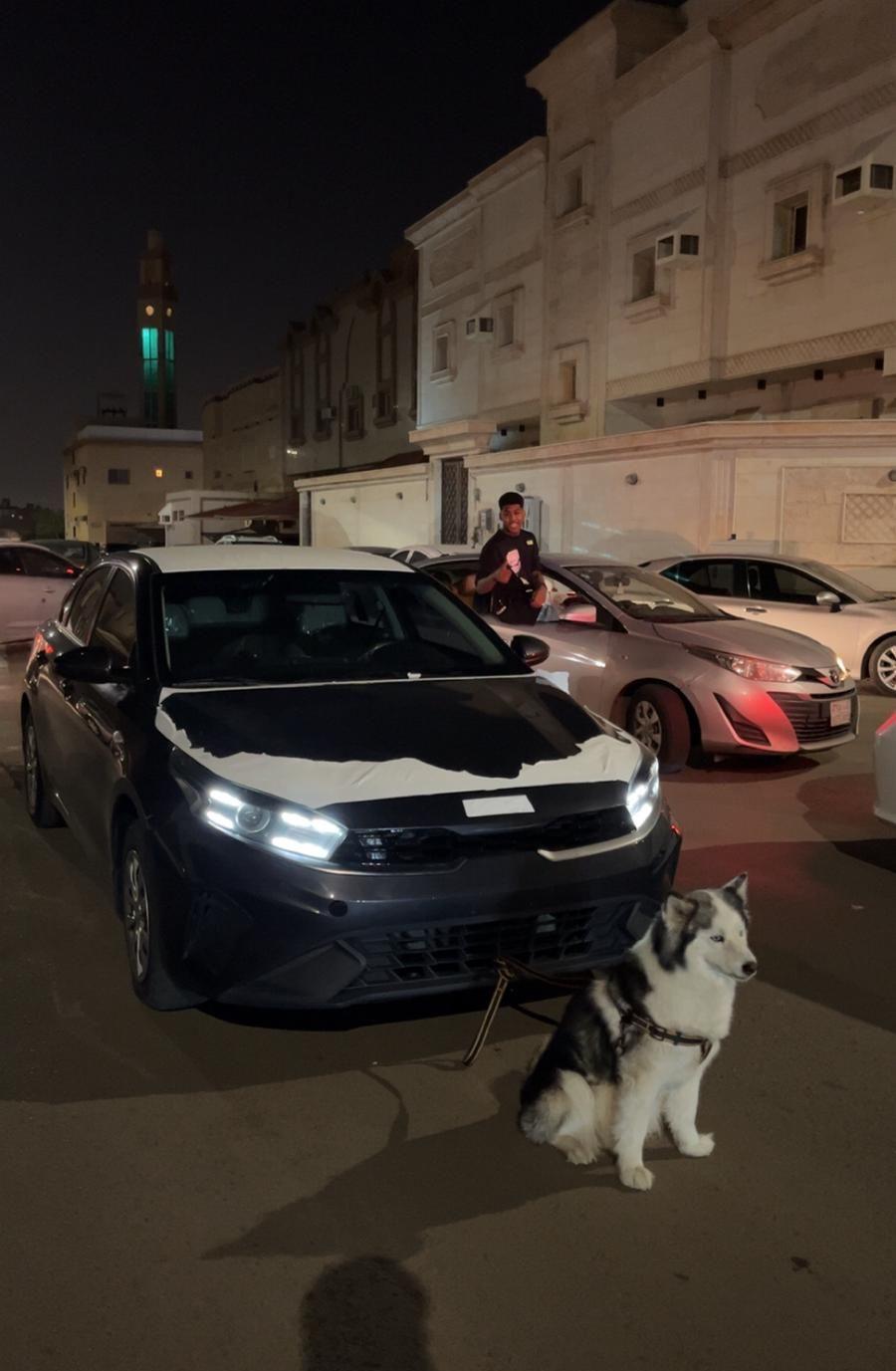 أنثى هاسكي