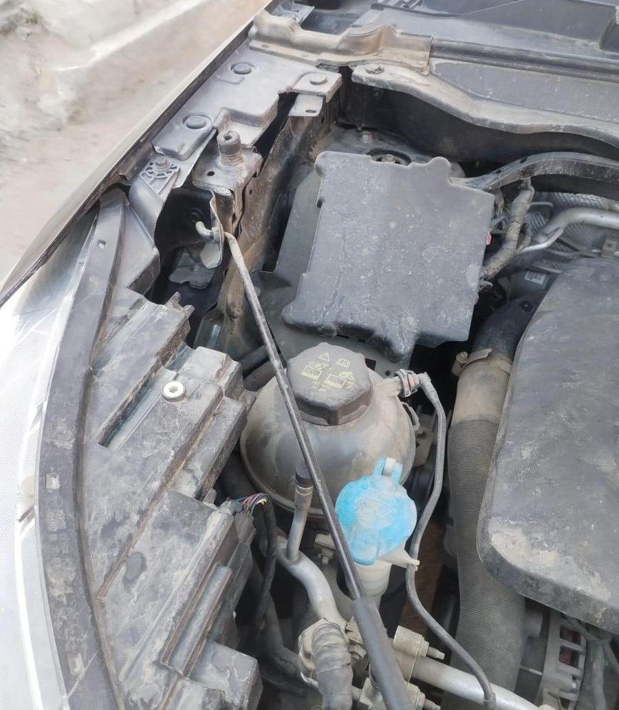 هافال جوليان فل
