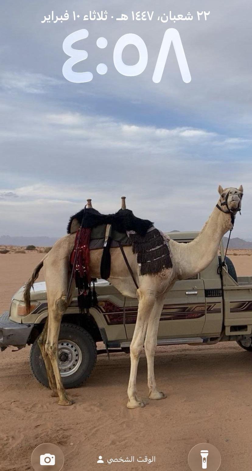 قعود رباع