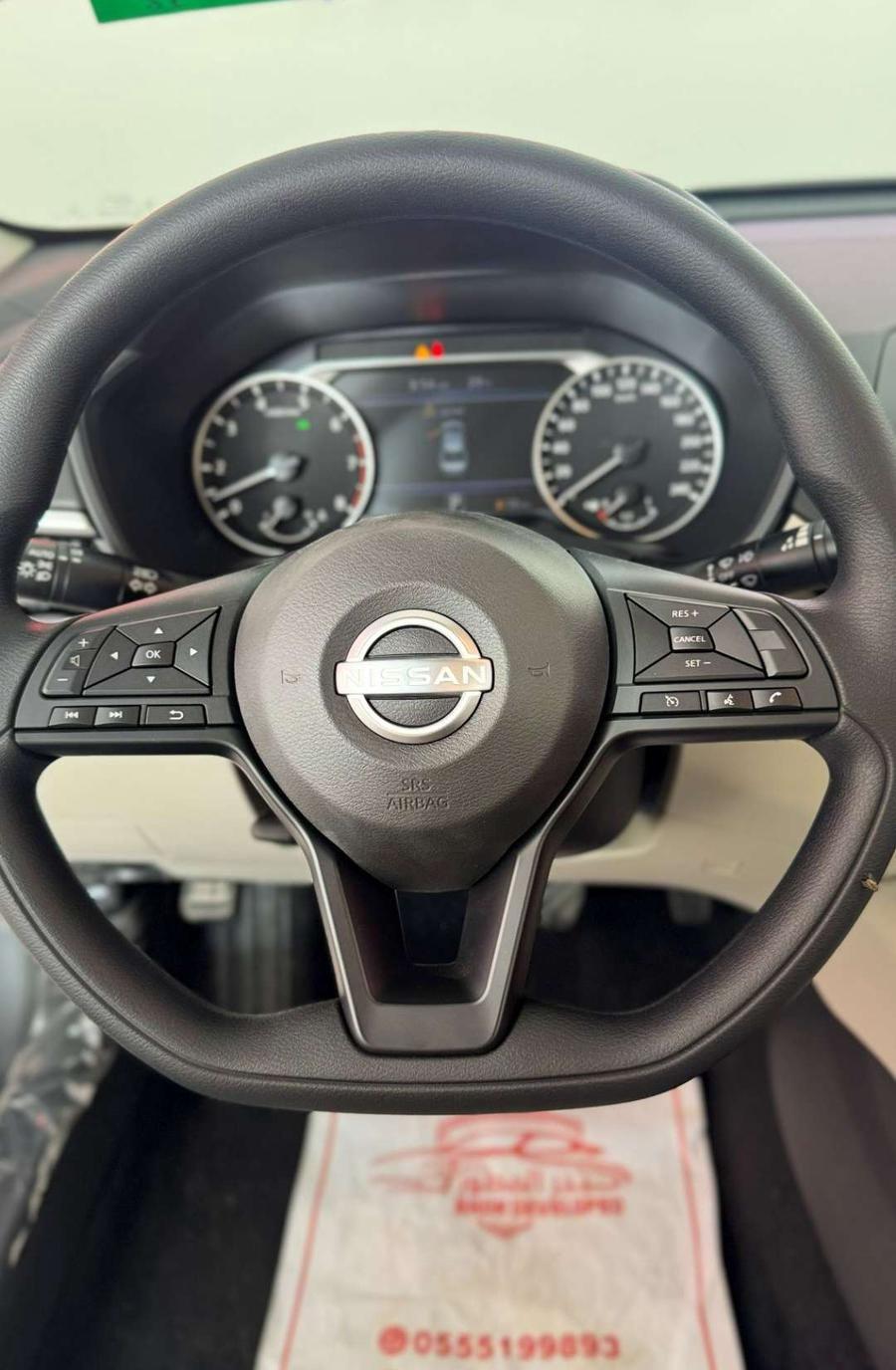 التيما 2010SV