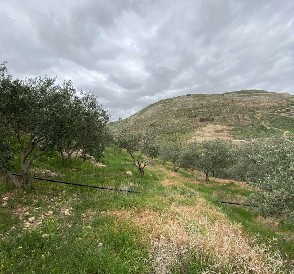 قطعة أرض مطلة