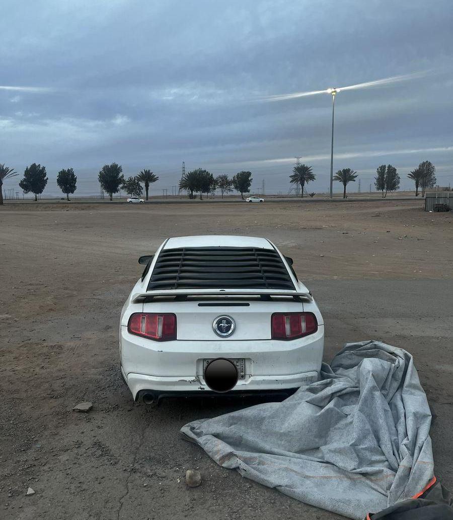 موستنج 2010 (V6)