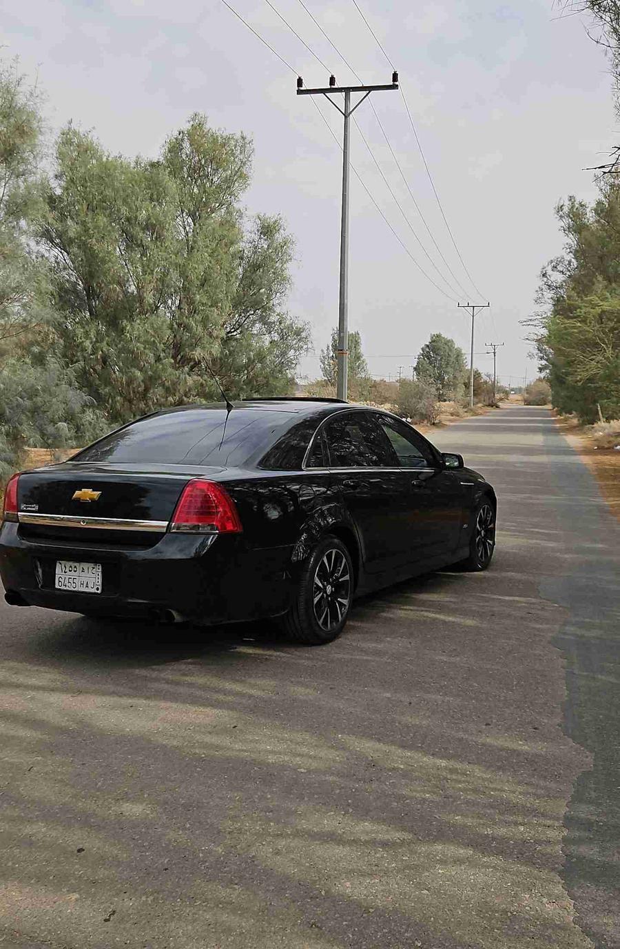 كابرس 2013