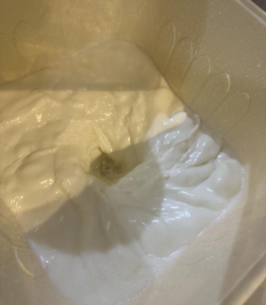 لبن بقر طازج