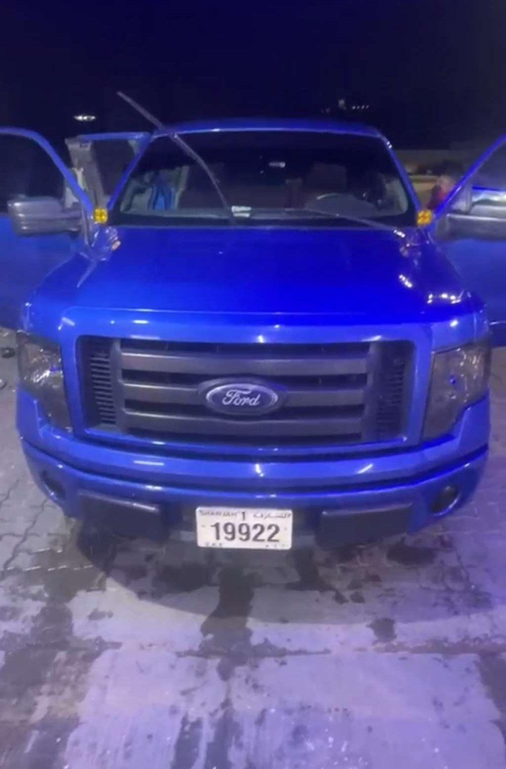 2010 فورد F-150