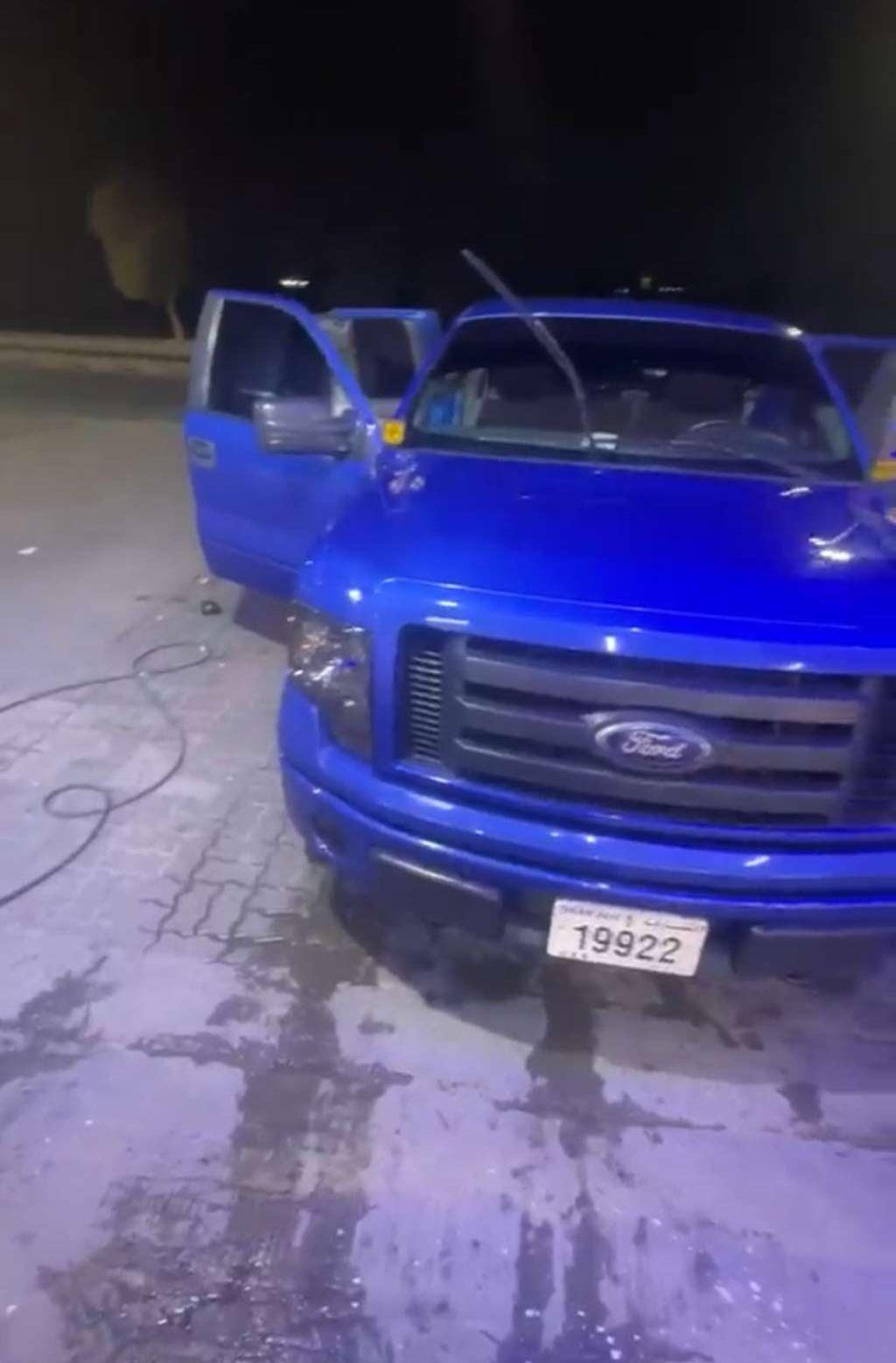 2010 فورد F-150