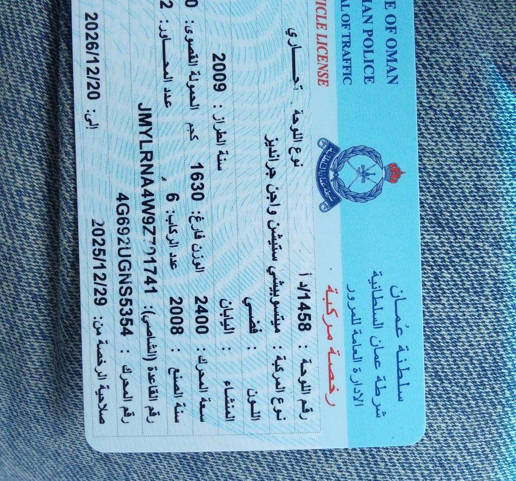 2009 ميتسوبيشي جرانديز