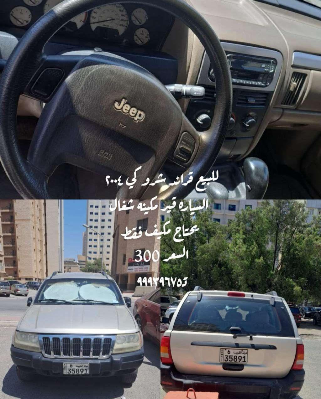 2004 جيب جراند