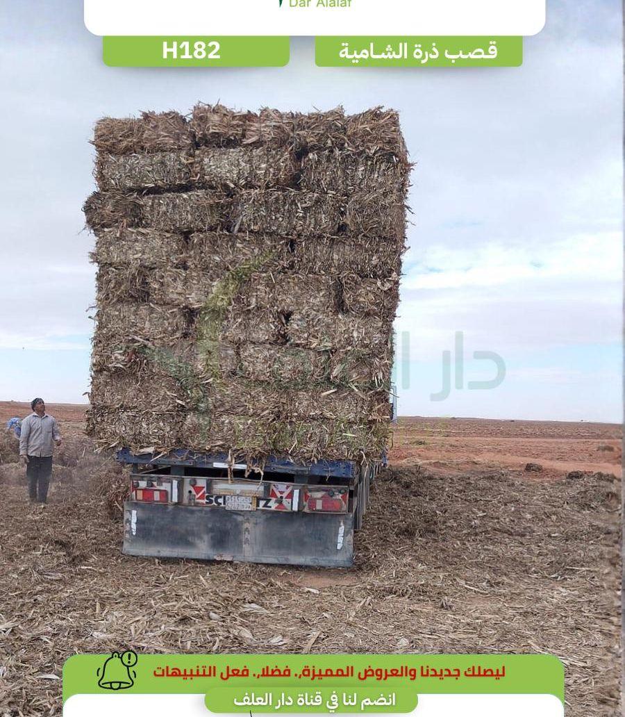 شاحنة مجانا قصب