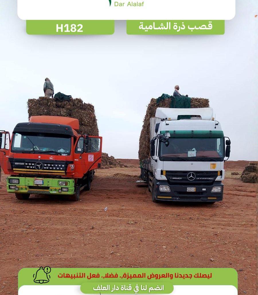 شاحنة مجانا قصب