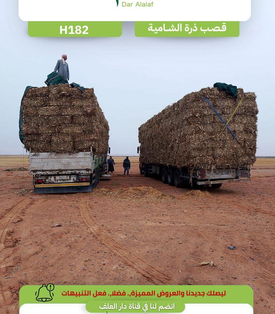 شاحنة مجانا قصب