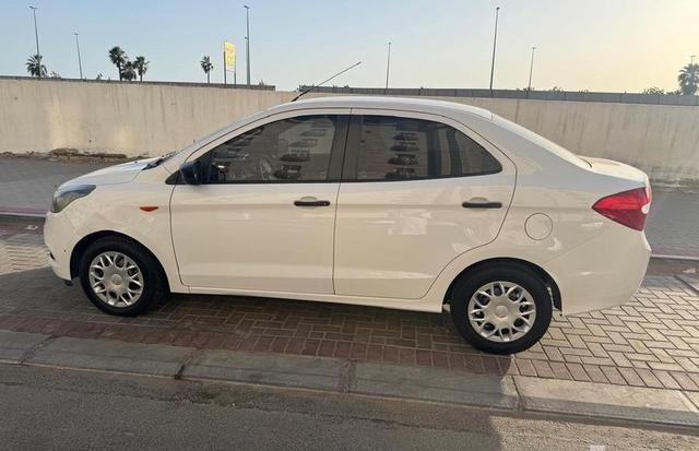 ناقة حايل معروضة