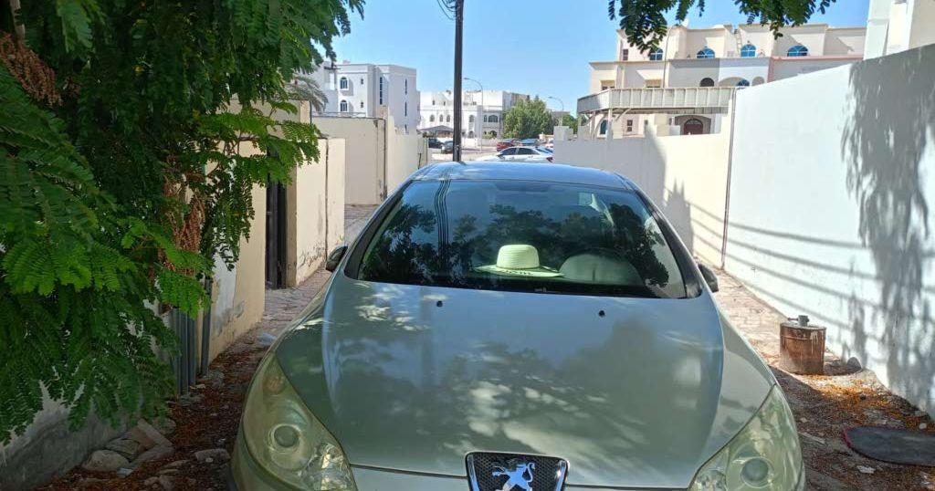 2007 بيجو 407
