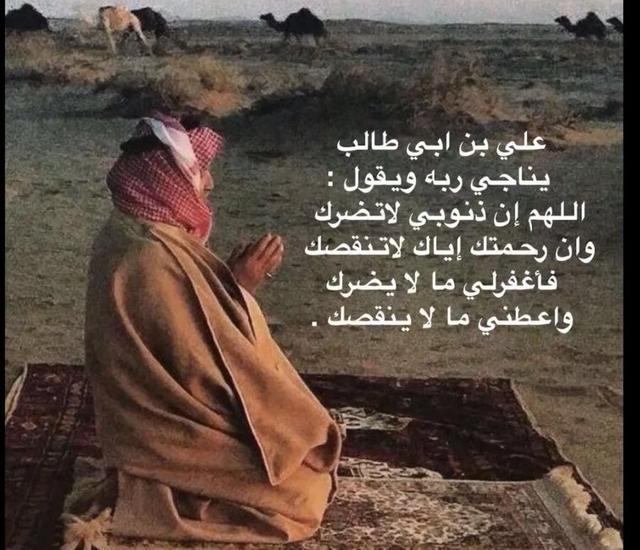مطلوب غرفه ودورة