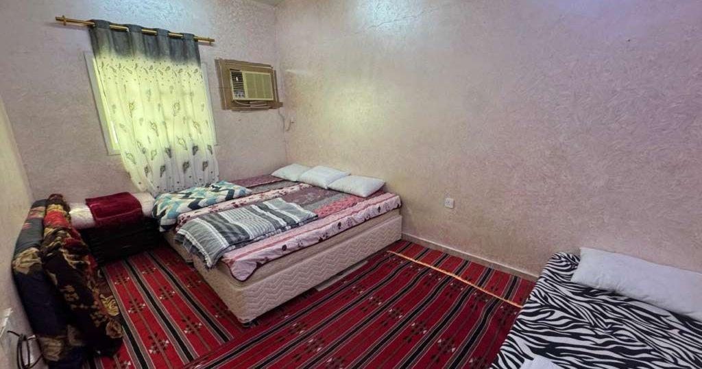 شقة صغيرة للايجار