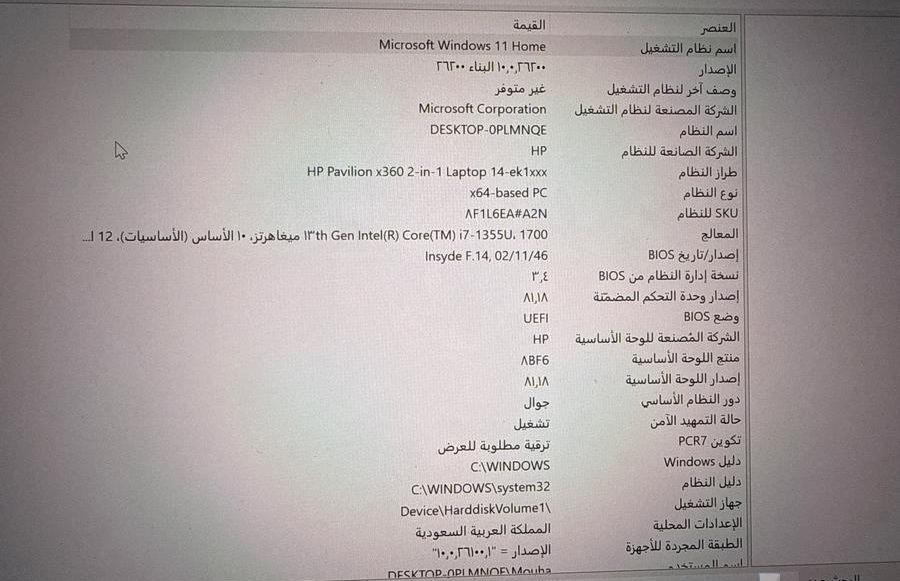 جامعة الا مير