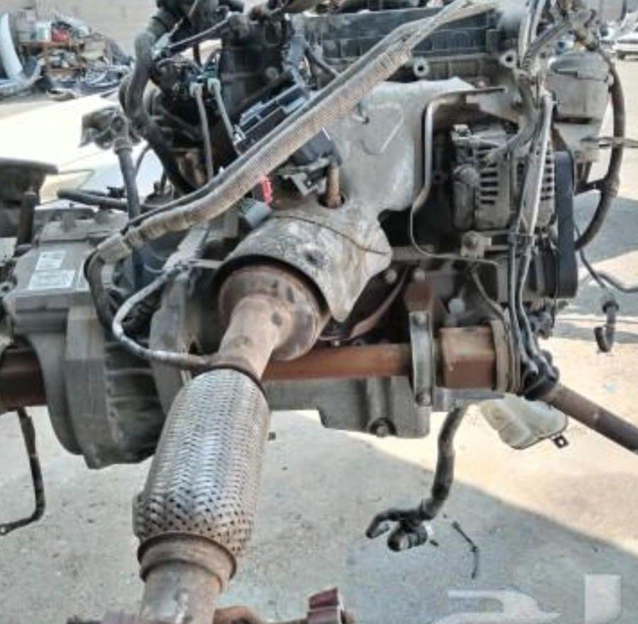بطتين صغار عمر