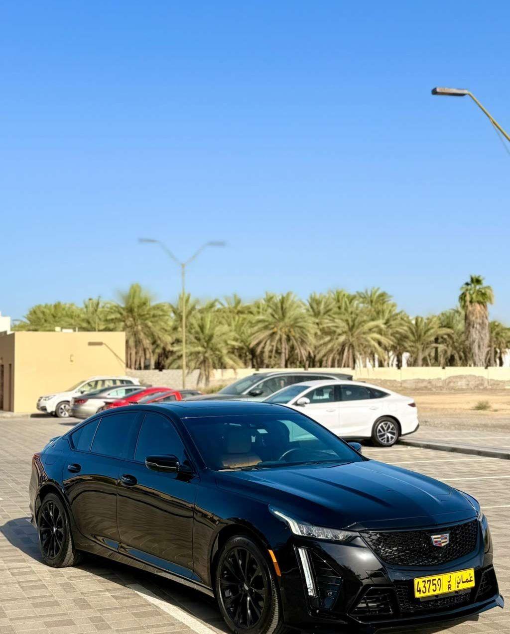 2024 كاديلاك CT5