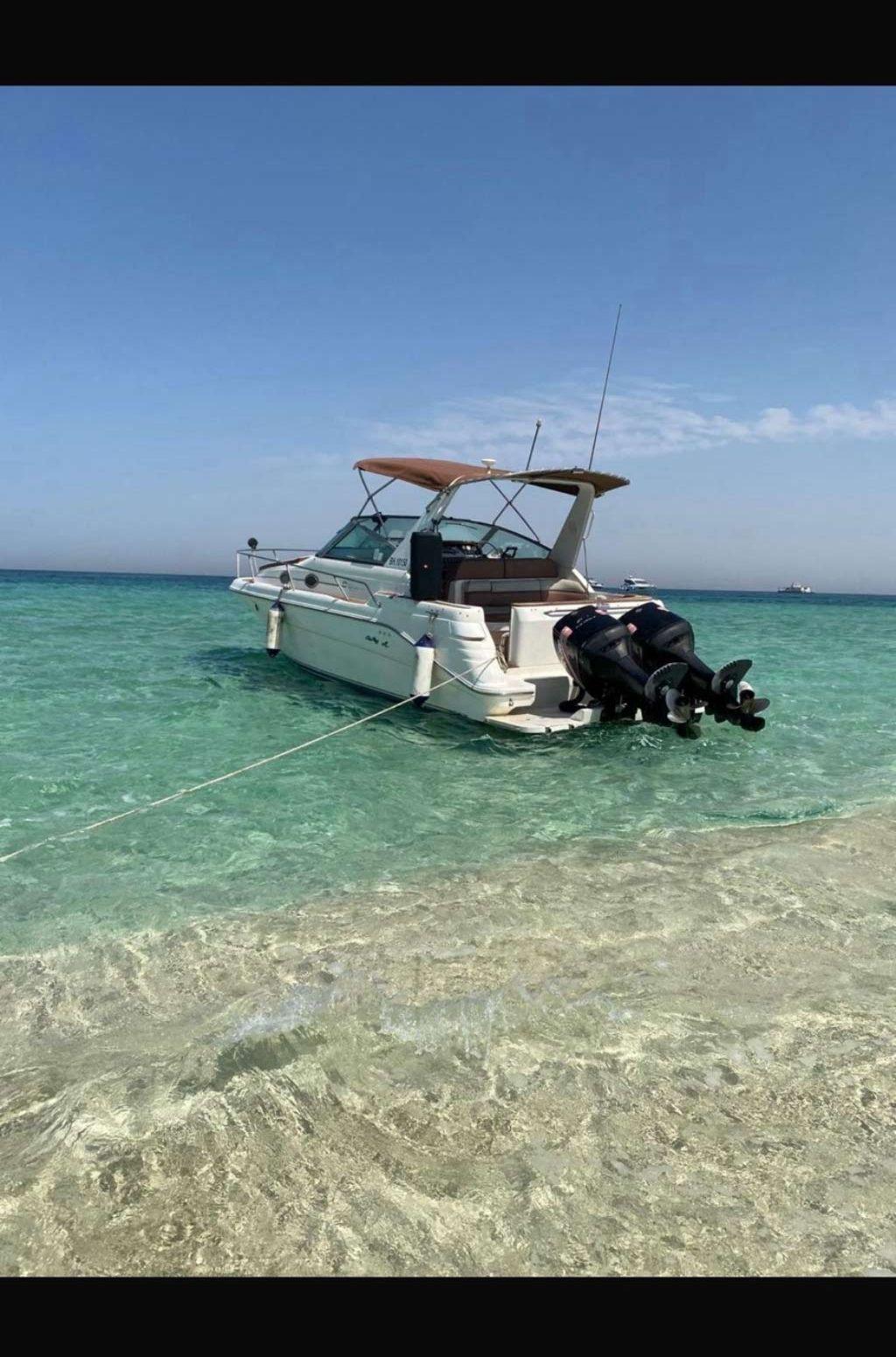 Sea ray sundancer
