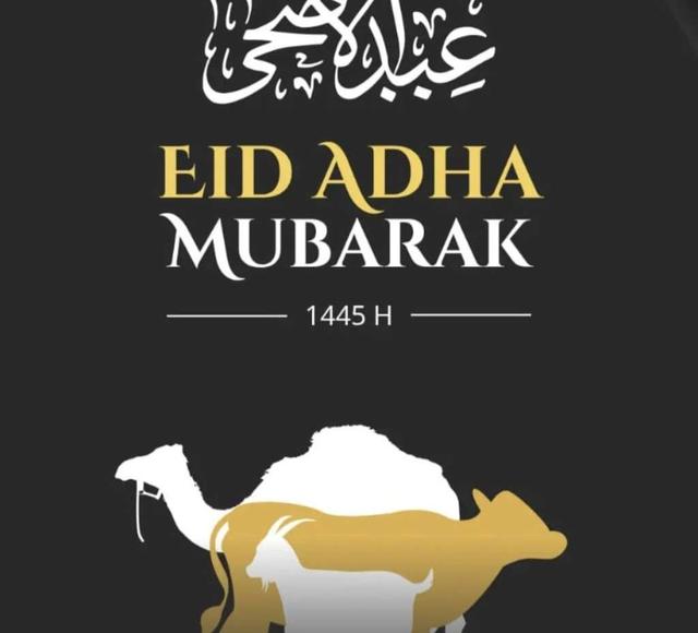 لمن يبحث عن