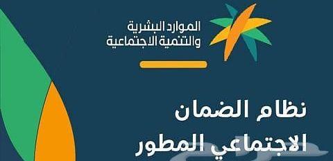 عقود على النظام