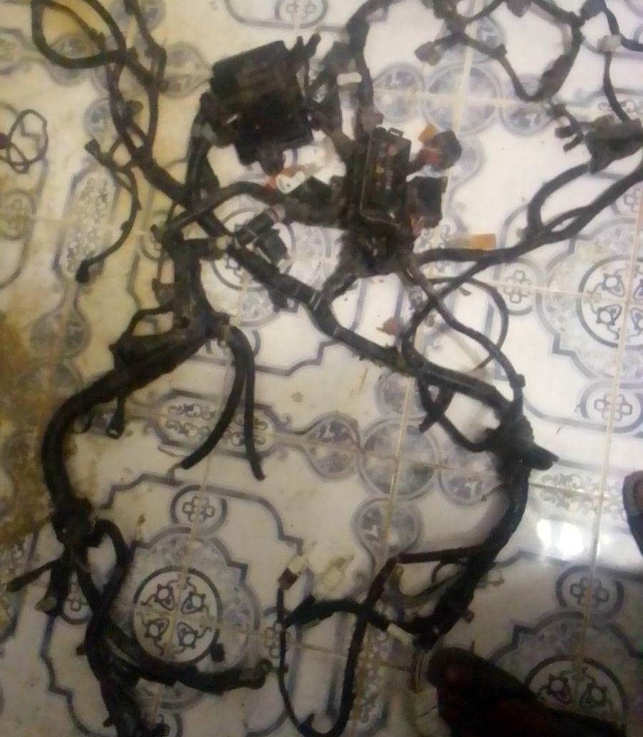 حفاضات قمر مقاس