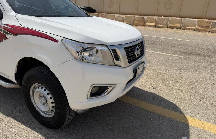 3 بقرات هولنديات