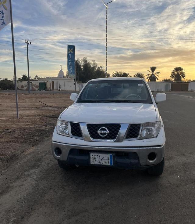عجول بلدي للبيع