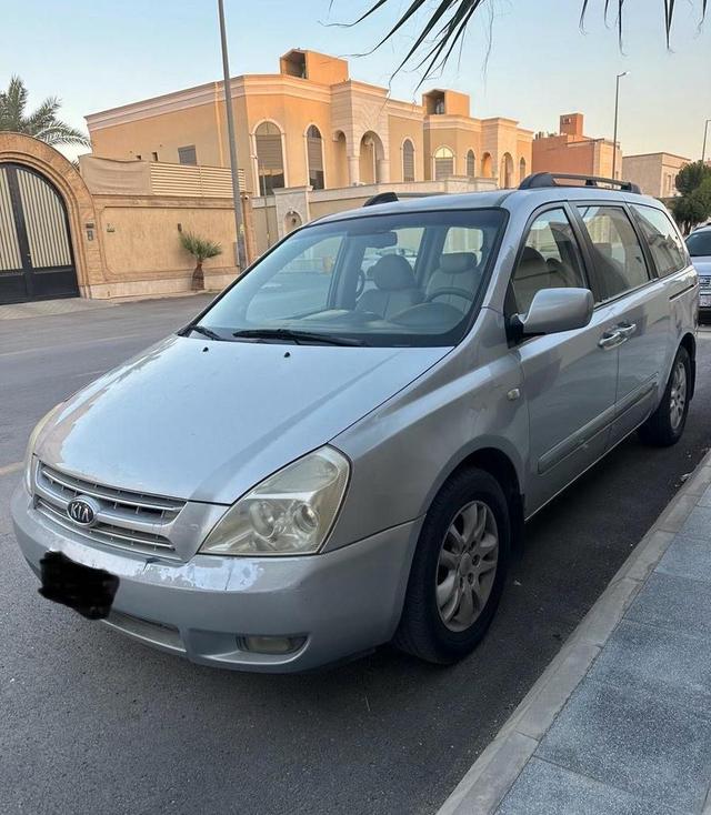 أرانب للبيع العدد