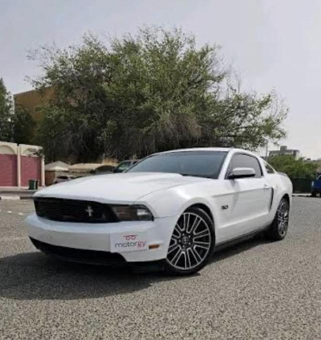 صوص بط بكيني