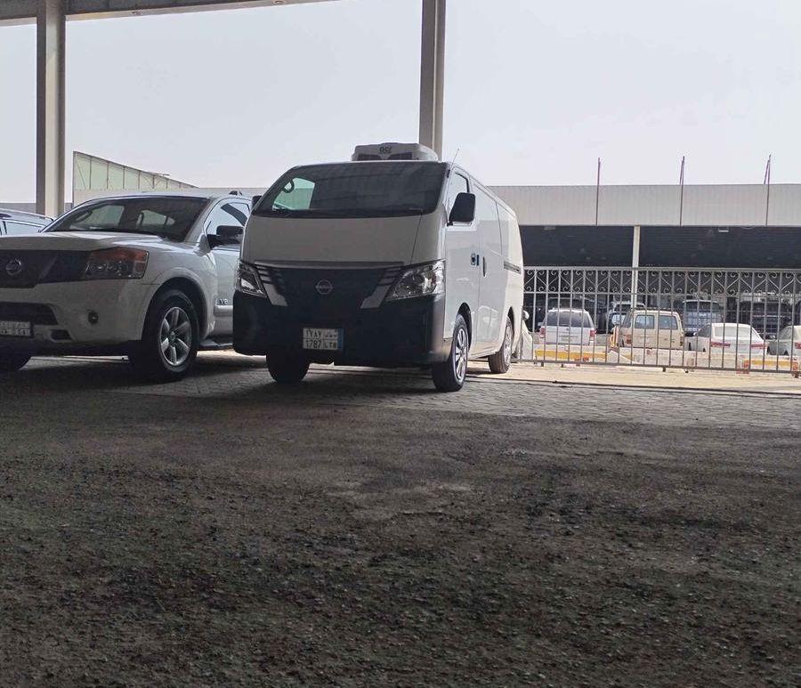 عجل سويسري بيور