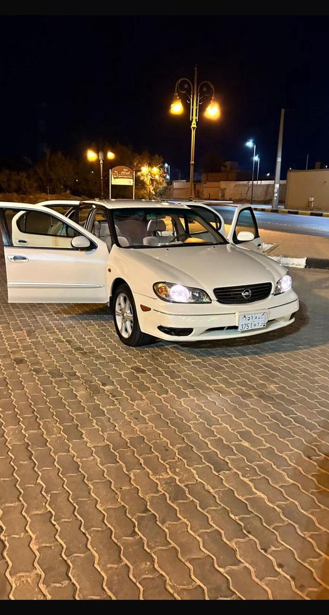 طيور بادجي 4