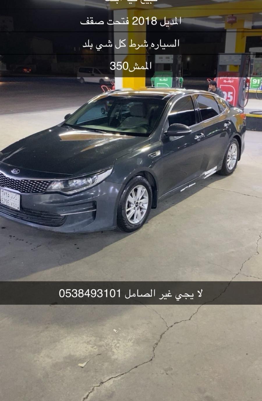 حلا تراميسو في