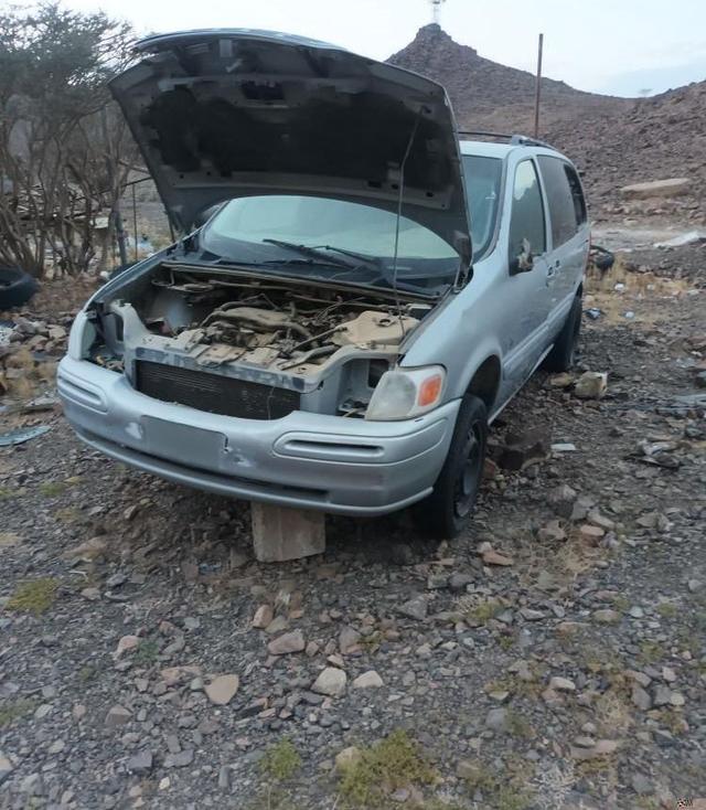 بعير فحل للبيع