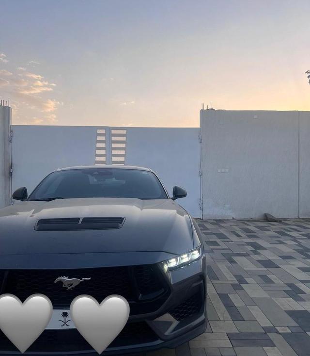 صيصان بط بكيني