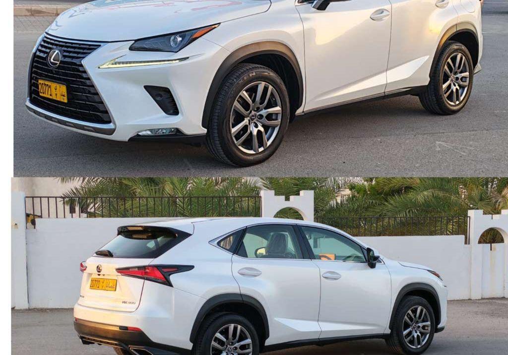 2019 لكزس NX