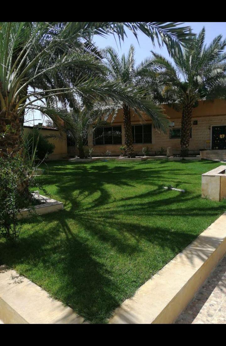 مطلوب حوش صغير