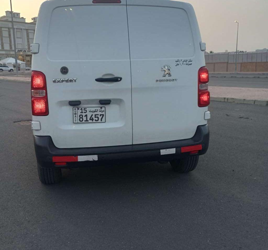 2020 بيجو اخرى