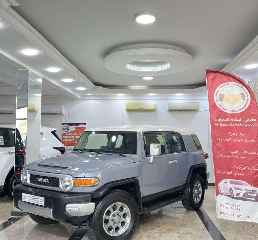 2013 تويوتا FJ