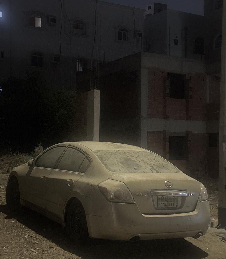 نيسان التيما 2010