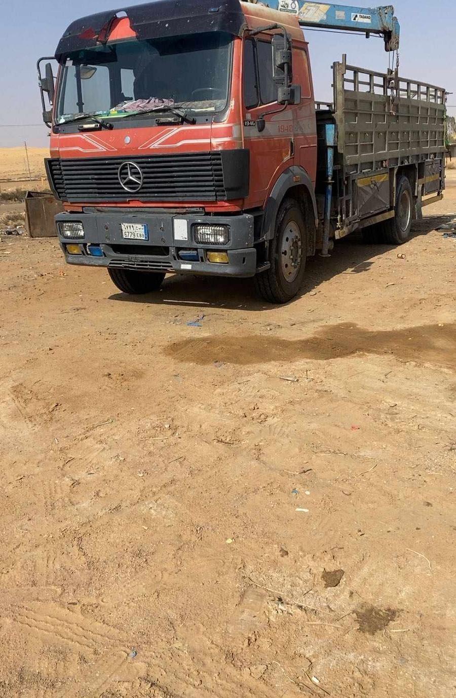 ببغاء كاسكو أليف