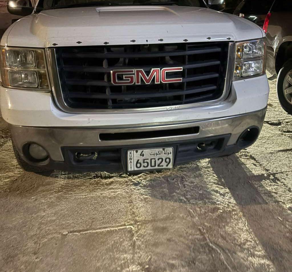 2010 جي إم