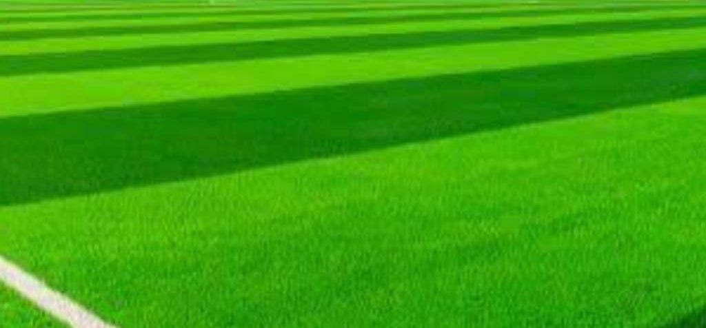 البدر للمفروشات