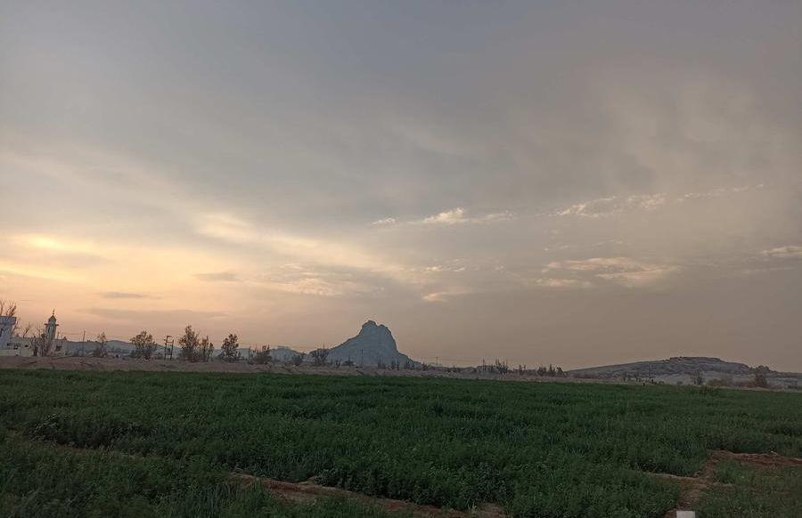 مطلوب أراضي زراعية