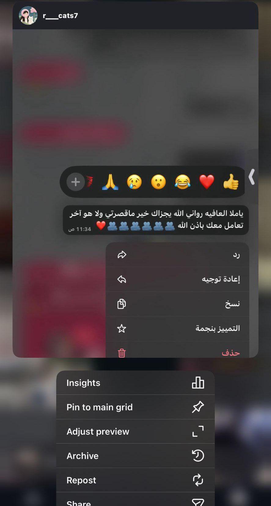 فندقة قطط في