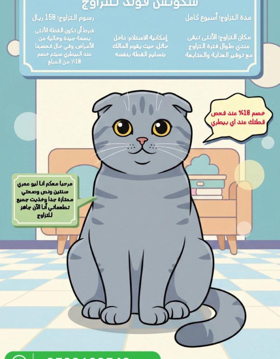 قط سكوتش فولد