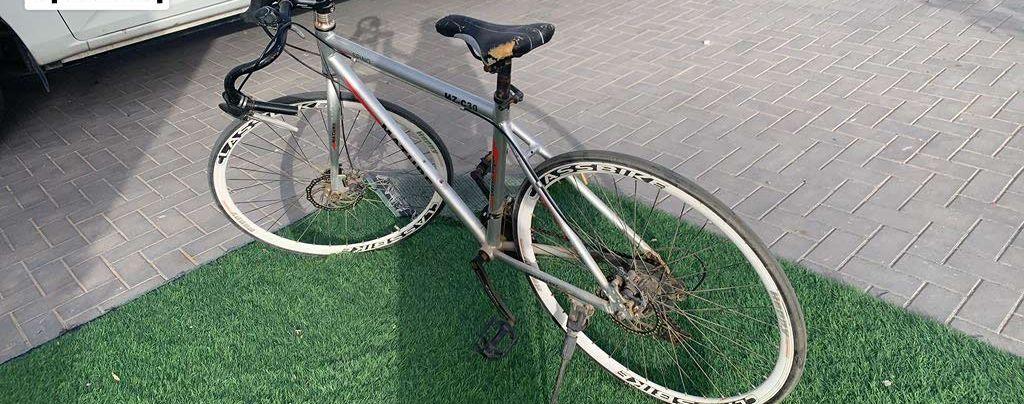 hybrid spino mz