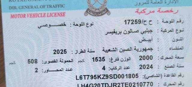 2024 جيلي اخرى