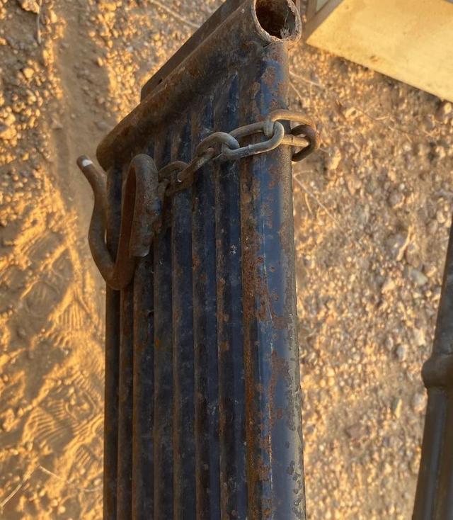 عقرب شاص نيسان