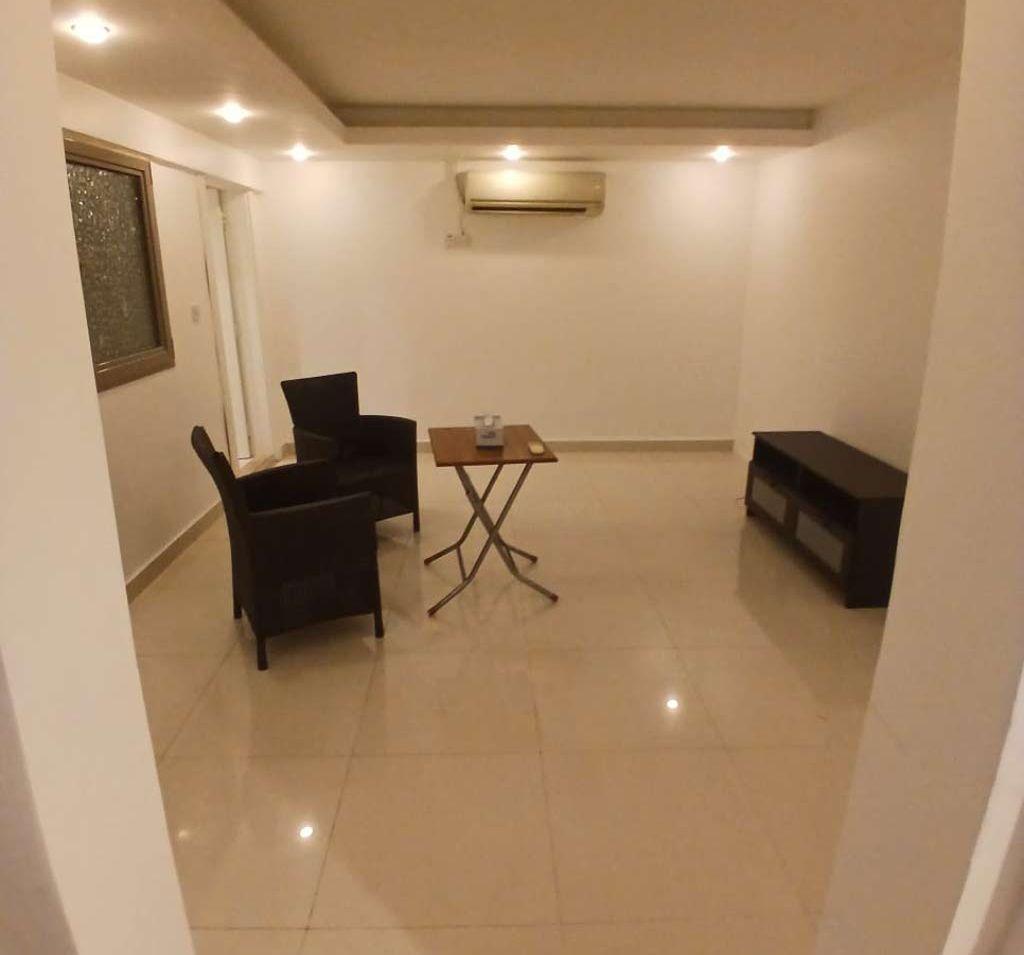 elegant basement villa